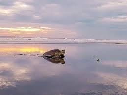 वेलस बीच